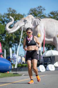 BIB: 
                            <button type="button" onclick="openModal(26544360)" class="btn btn-primary btn-sm float-right btn-popup" data-toggle="modal" data-target=".modal-high-quality">
                        <i class="fas fa-shopping-cart"></i> Add to Cart
                    </button>
                                            <button type="button" onclick="isThisMe(26544360, true)" class="btn btn-success btn-sm float-right btn-popup btn-isme hidden" data-toggle="tooltip" data-placement="bottom" title="นี่คือรูปของคุณใช่ไหม คลิกที่นี่เพื่อเอาเข้าอัลบั้ม">
                        <i class="fas fa-plus"></i> Add to album
                    </button>
                    <button type="button" onclick="isThisMe(26544360, false)" class="btn btn-warning btn-sm float-right btn-popup btn-isnotme hidden">
                        <i class="fas fa-ban"></i> Remove from album
                    </button>